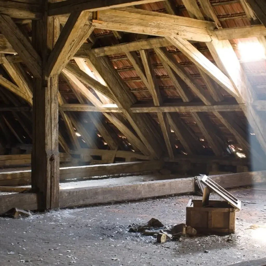 Attic Cleaning