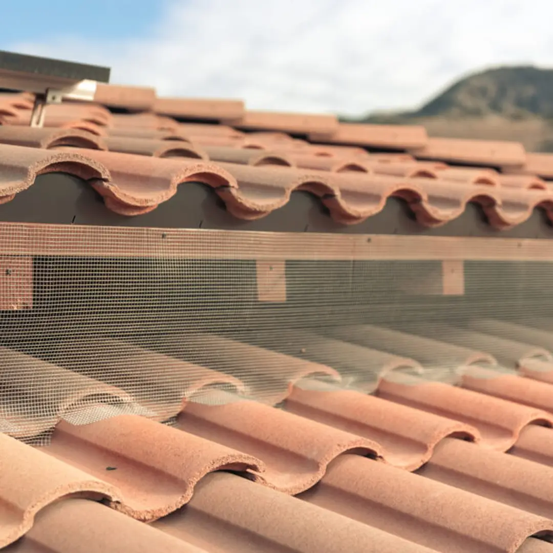 Pest and Rodent Control Near Me - Martin Exterminating Co